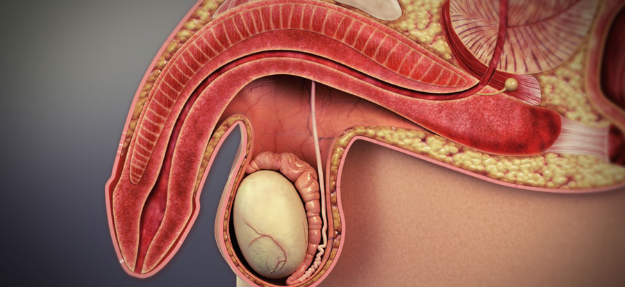 Erectile Dysfunction Treatment